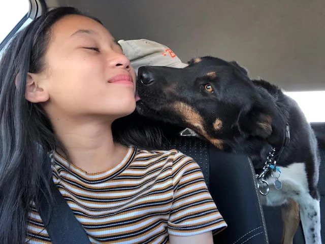 A child and dog together